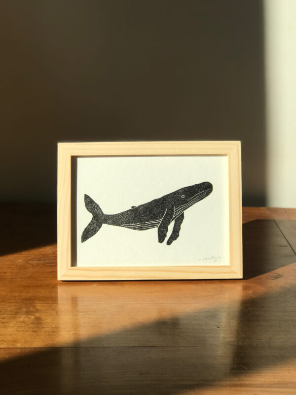 Linogravure La baleine