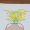 Illustration Mimosa dans un pot